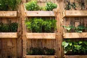 pallet vegie garden